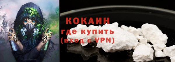 стафф Бородино