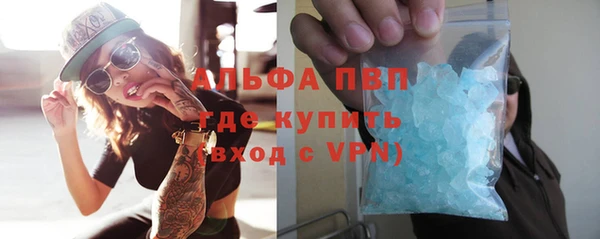 стафф Бородино