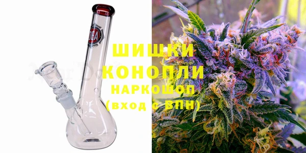 стафф Бородино