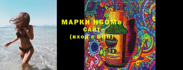 стафф Бородино
