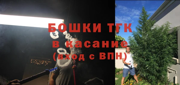 стафф Бородино