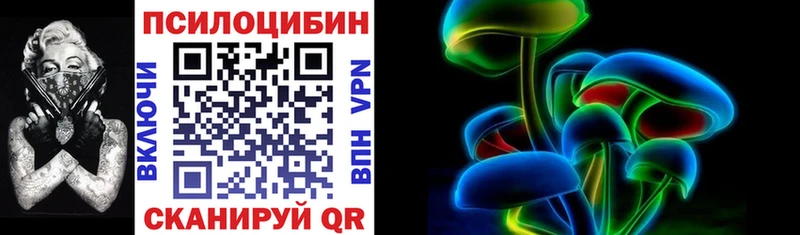 Галлюциногенные грибы Psilocybe  Купить где  Плавск 